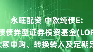 永旺配资 中欧纯债E: 中欧纯债债券型证券投资基金(LOF)调整大额申购、转换转入及定期定额投资业务的公告